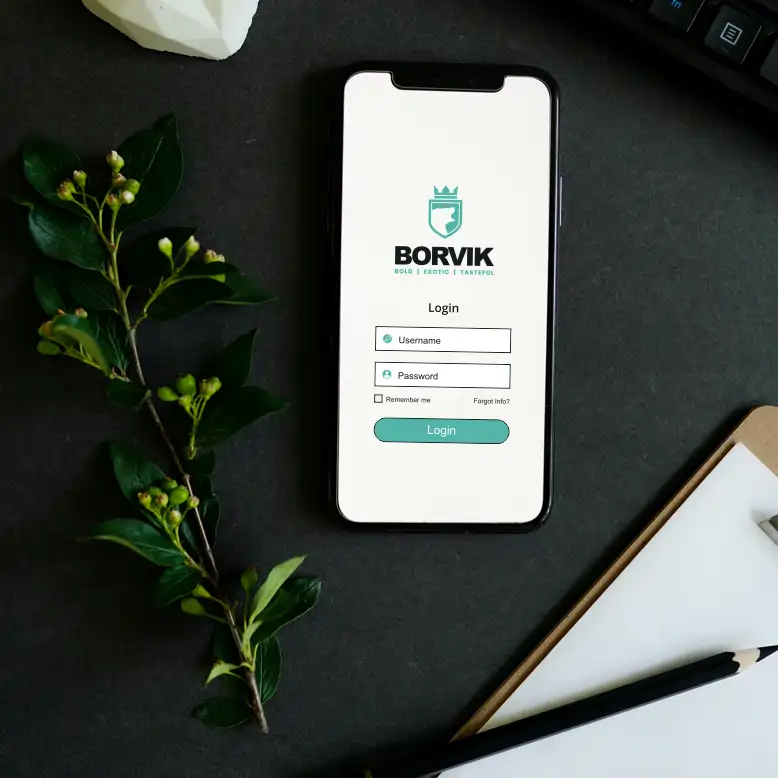BORVIK.com marketing example image.
