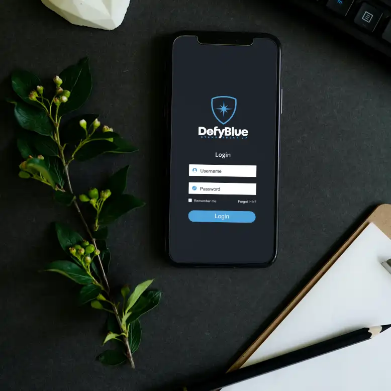 DefyBlue.com marketing example image.