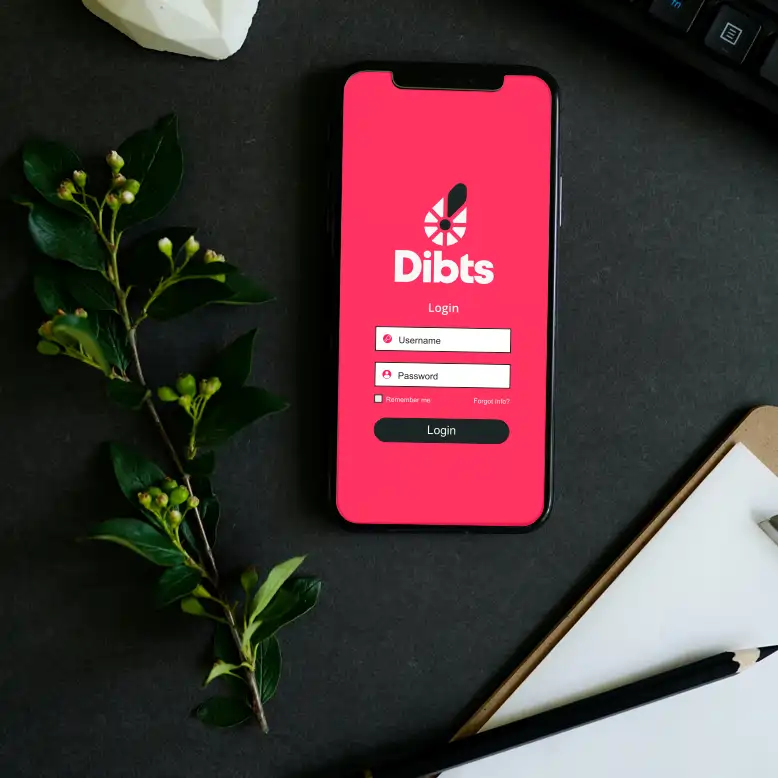 Dibts.com marketing example image.