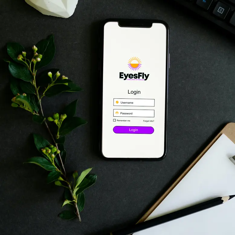 EyesFly.com marketing example image.
