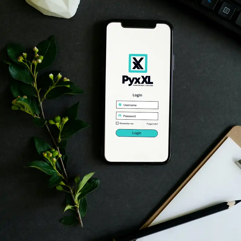 PyxXL.com marketing example image.