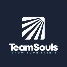 TeamSouls.com image and link to information.